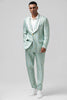 Load image into Gallery viewer, Mint Shawl Lapel One Button Jacquard Men&#39;s Party Suits