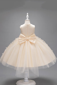 Champagne Princess Butterfly Tulle Girls' Dress With Bow