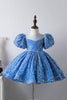 Load image into Gallery viewer, Blue A Line Puff Sleeves Sequins Girls Dresses