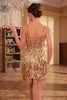 Load image into Gallery viewer, Sheath Spaghetti Straps Fuchsia Sequins 1920s Party Dress with Fringe