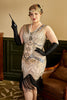 Load image into Gallery viewer, Women&#39;s Plus Size 1920s Dress Sequin Pink Flapper Dress